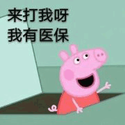示例图片